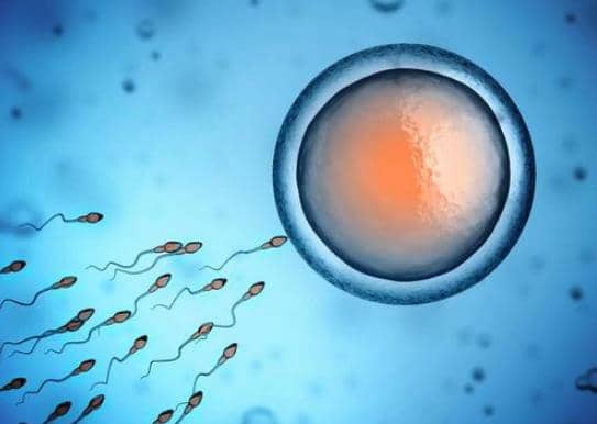 决定泰国试管婴儿胚胎着床率的4个因素