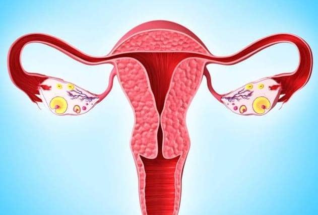 做试管婴儿促排会导致卵巢早衰是真的吗？