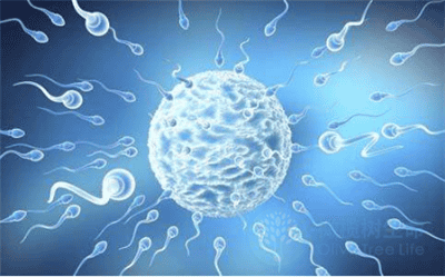 做试管婴儿为什么出现精子卵子不结合