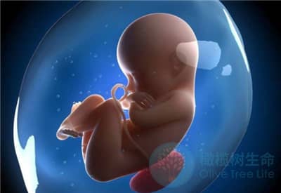 人流导致子宫内膜薄，做试管婴儿如何助孕?