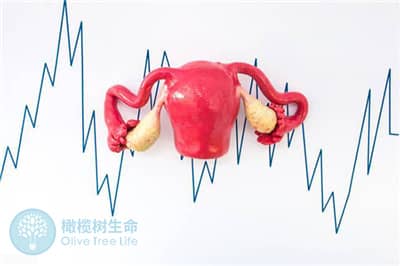 七台河试管婴儿期间避免“促排效果不佳”试试这三招!
