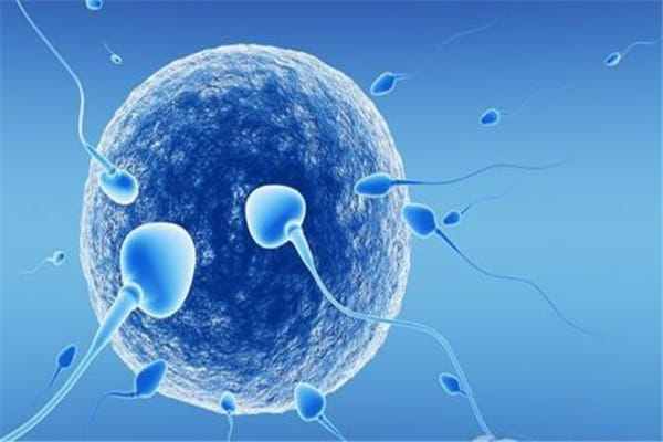 揭秘：试管婴儿囊胚的形成过程，其优势何在？
