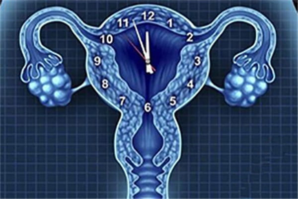 造成卵巢功能下降的因素是什么？如何定方案？