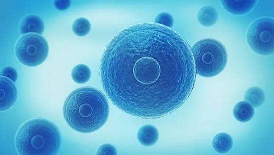 德宏试管婴儿移植后饮食和生活上应该注意些什么？
