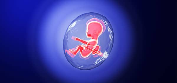 第三代试管婴儿真的可以避免胎停吗？