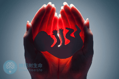 德宏试管婴儿移植后，有褐色分泌物的原因是什么？