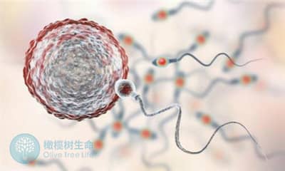 泰安试管婴儿成功率的关键因素在于男性还是女性？