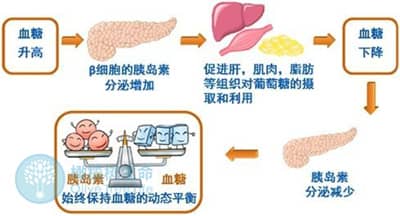血糖高对泰国泰安试管婴儿成功率有影响吗？