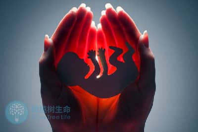 输卵管伞端粘连做德宏试管婴儿的成功率有多高？