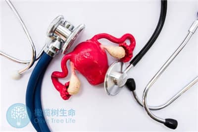 德宏子宫内膜薄是卵巢早衰的表现吗？试管前如何调理？