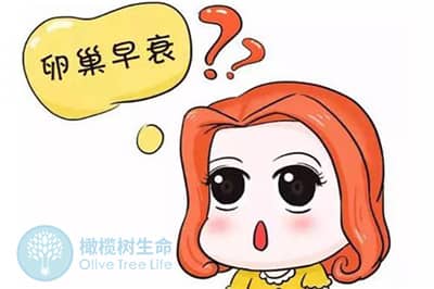德宏为什么会出现卵巢低反应？做试管婴儿有何解决方法？
