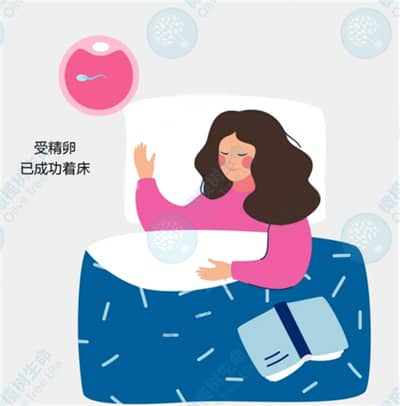 德宏试管婴儿促排取卵前后需要注意哪些事项？