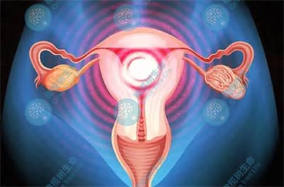 德宏女性患有子宫纵膈是否会对胚胎移植造成影响?