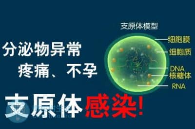 支原体感染能否做七台河试管婴儿?能否保障成功率？
