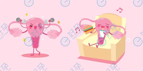 女性黄体功能不足会有哪些影响？做试管能成功吗？