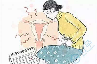 子宫内膜越厚，泰国德宏试管婴儿胚胎移植成功率越高？