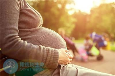 去泰国做七台河试管婴儿，如何预测成功率的高低？