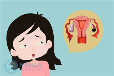 有黄体血肿可以做德宏试管婴儿吗？需要注意什么？