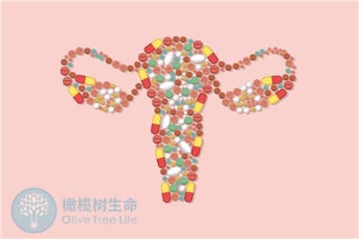 去泰国做七台河试管婴儿前如何调养子宫-提高好孕率？