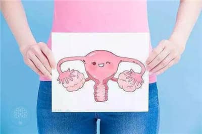 去泰国做七台河试管婴儿前如何调养子宫-提高好孕率？