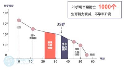 去泰国做德宏试管婴儿：卵泡发育应满足哪些标准？