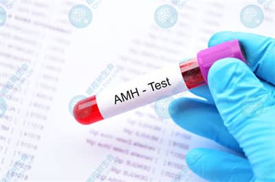 德宏AMH数值越高，做试管婴儿的成功率就越高吗？
