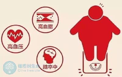 甲状腺功能异常，去泰国做德宏试管婴儿成功率怎么样?