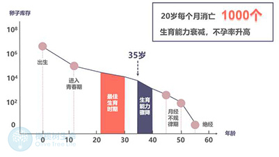 德宏试管婴儿的成功率和年龄有关吗？如何让高龄女性顺利妊娠