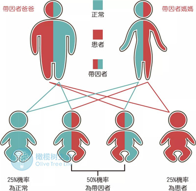 在哪些情况下，有必要做泰安第三代泰安试管婴儿？