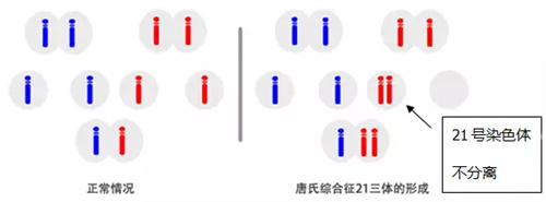 胎停、流产……为什么总是找上你？