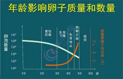 到泰国做试管如何能取到健康的卵子提升好孕率？