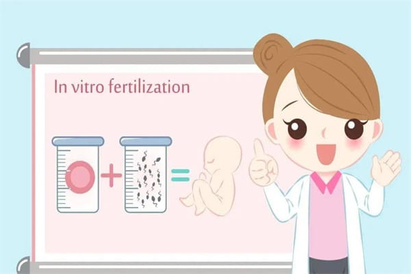 渝北试管婴儿促排卵环节如何保障卵子质量？