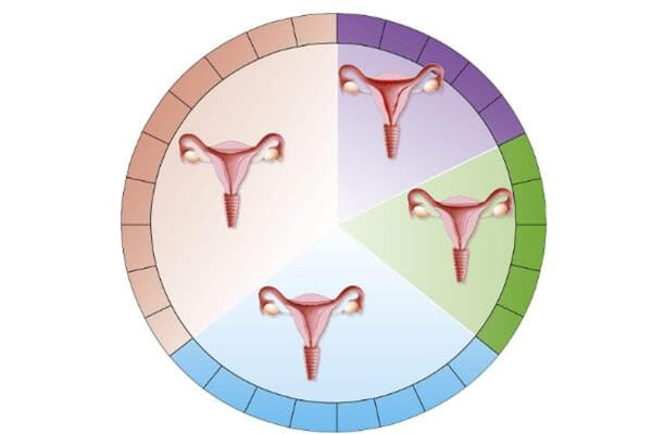 渝北子宫内膜增生还能做试管婴儿吗？该如何调理？