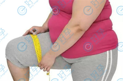 渝北女性体型过胖会影响试管婴儿成功率吗?